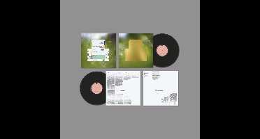 Spiritualized - Everything Was Beautiful (LP)