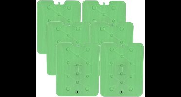 Excellent Houseware Koelelement Ice Pack - 6x - groen - plat - polyethyleen - 900 gram - 32 x 25 x 1 cm - schijf