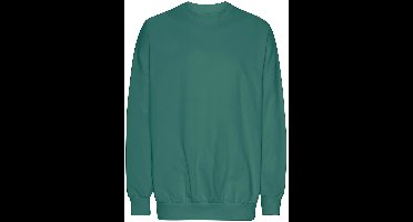 Neutral Oversized Sweatshirt NET63011 - Teal - XXL