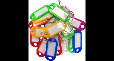 250 stuks - Sleutellabel - Sleutellabels - Naamlabel - Sleutelhanger - Bagagelabel - Assorti kleur