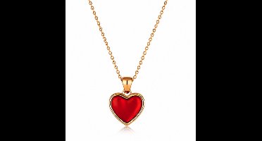 ketting met zwarte hartje - verguld - Stijlvolle ketting - Goudkleurig - Roestvrijstalen -Cadeau Voor Vrouwen- cadeau -Valentijn - Liefde - Verrassing
