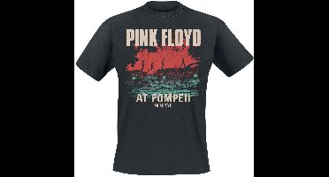 Pink Floyd Pompeii Album Cover Heren T-shirt - zwart - M