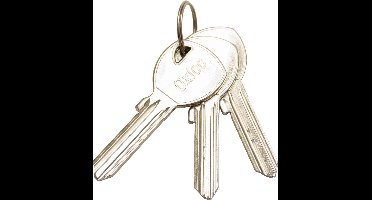 Oxloc CILINDERSLEUTEL BLIND MAT NIKKEL