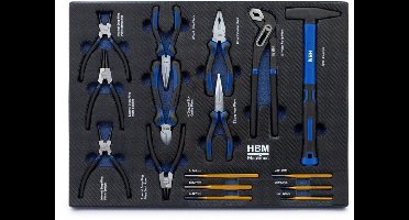 HBM 16-Delige Gereedschapset in Foam Inlay – Tangenset, Hamer en Drevels – Premium Gereedschapswagen Module – Overzichtelijk Schuimrubber