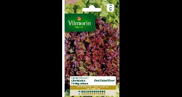 Eikenbladsla Rode Salad Bowl