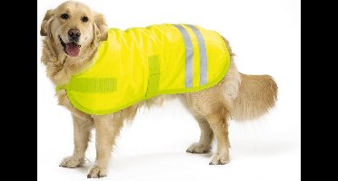 Beeztees Teddie - Hondenjas - Reflecterend - Geel - 50 cm