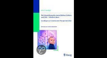 Die Entwicklung des menschlichen Gehirns und ZNS - A Brain is Born