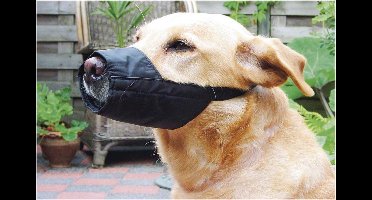 Beeztees Veiligheidsmuilband - Hond - S-Speciaal - 21,5 cm