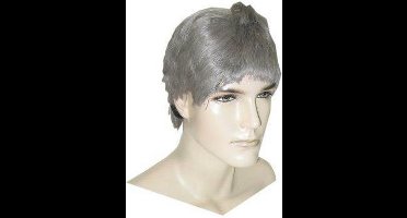 Carnavalspruik Pruik Nerd grijs