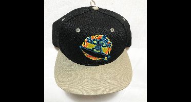 Mickey Mouse Surf Cap - Pet