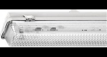 Philips armatuur bcs200 1x10w kap opaal