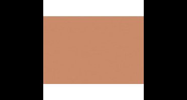 Folia Tekenpapier licht bruin 50X70/130G