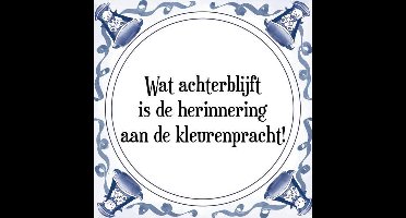 Tegeltje met Spreuk (Tegeltjeswijsheid): Wat achterblijft is de herinnering aan de kleurenpracht! + Kado verpakking & Plakhanger