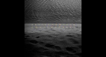 Settle For Less - Contemporary (CD)