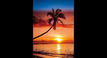 Strand poster - zee - tropisch -palm - vakantie - 61 x 91.5 cm