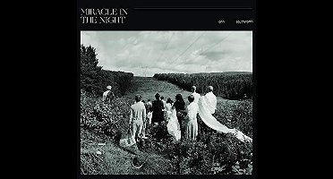 Miracle In The Night