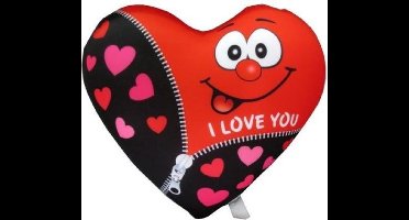 VDM Spandex Kussen I Love You 33cm