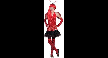 Lievenheerstbeestje Tiener Carnavalskostuum