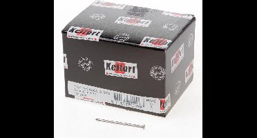 Kelfort draadnagel bombe kop RVS 2.4 x 50mm 1kg