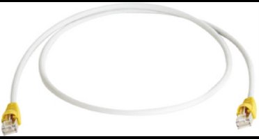 Telegärtner RJ45 (cross) Netwerkkabel Aansluitkabel CAT 6A S/FTP 1.00 m Grijs Vlambestendig, Snagless