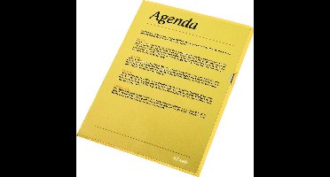 Esselte Zichtmap - PP - A4 - 100 stuks - Geel