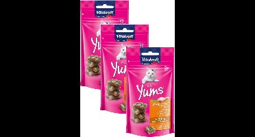 Vitakraft Cat Yums Kip & Kattengras - Kat - Snack - 3 x 40 g