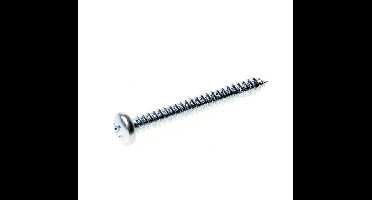 Kelfort Plaatschroef cilinderkop phillips verzinkt 2.9 x 16mm