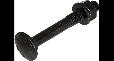 Blackline bevestigingsmaterialen - Slotbout met moer en sluitring – M5 t/m M8 (30–100 mm) - M8 x 50mm / 25