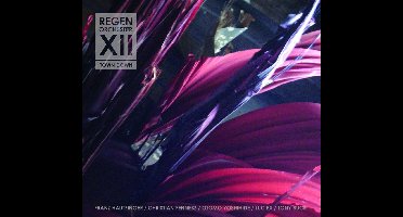 Regenorchester XII - Town Down (CD)