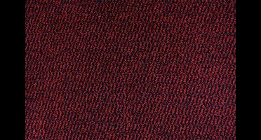 Droogloopmat Dusco 55 x 75 cm Rood