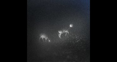 Bliss Signal - Bliss Signal (LP)