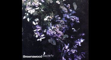 Various Artists - Brownswood Electric (CD)