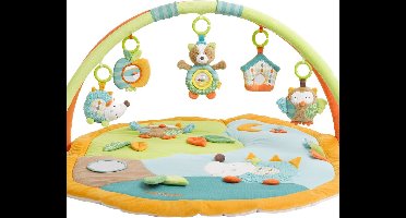 Babygym, Baby cadeau - jongen & meisje, Dierenvriendjes Speelmat, Interactief Speelgoed - Multikleuren.