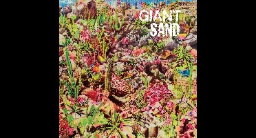Giant Sand - Returns To Valley Of Rain (CD)