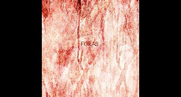 Siavash Amini - Foras (LP)