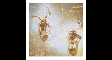 Minus Story - Heaven And Hell (CD)