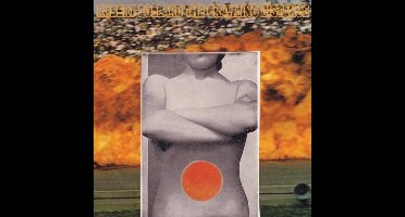 Robert Pollard - The Crawling Distance (CD)