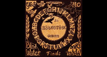 Adam Faucett - Blind Water Finds Blind Water (LP)