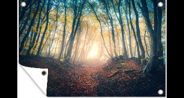 GreatGardenPosters - Tuinposter - Tuin - Tuinposter bos - Herfst - Licht - 90x60 cm - Wanddecoratie - Tuindoek - Tuindecoratie