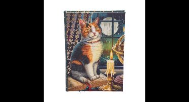 Nemesis Now Notitieboek - Lisa Parker - Adventure Awaits - 17cm - A5-Formaat - Multicolours