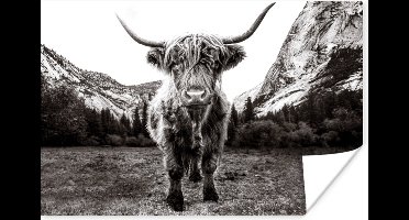 Poster Berg - Zwart - Wit - Schotse Hooglander - 30x20 cm