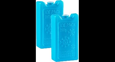 2x stuks 250 grams koelelementen 13 x 7.5 x 3 cm blauw plastic