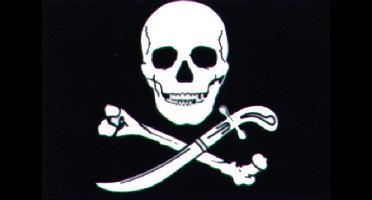 Stijlvolle Piratenvlag Doodshoofd Bootvlag 20x30 - Talamex