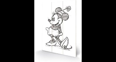 Disney Mickey Mouse & Friends - Minnie Mouse Houten Wandbord- 29,5 x 20 cm