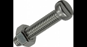 Mack RVS Metaalschroef Met Moer 2 stuks M6 x 60 mm