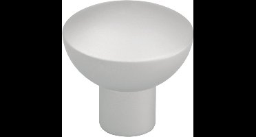 Starx Knop schaal - bol - diameter - 30mm - aluminium