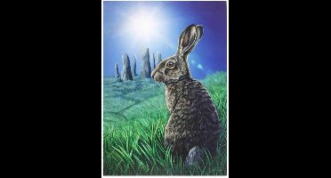 Canvas afbeelding Solstice 50 x 70 cm Multicolours