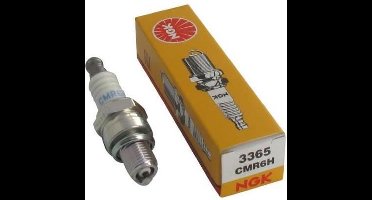 GARDEN PRATIC Bougie voor trimmer NGK CMR6H