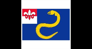 Vlaggetje Heeg 20x30