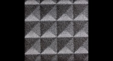 Dutch Wallcoverings Vliesbehang leer pyramide - zwart